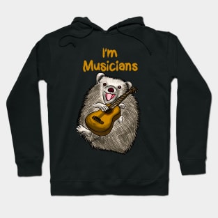 Music Hedgehog Hoodie